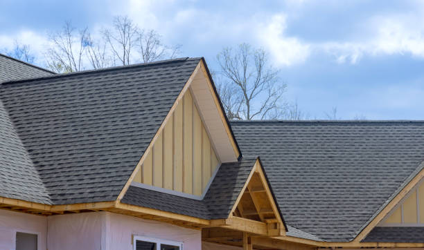 Best Roof Moss and Algae Removal  in Johnson City, TX